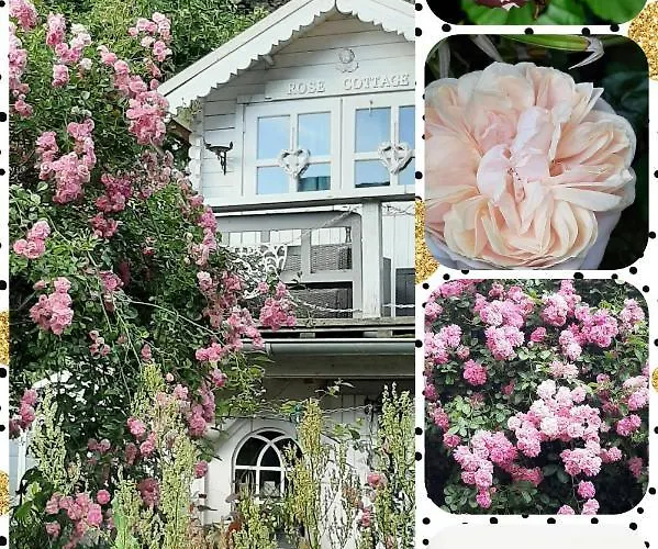 FW Bines Rosengarten